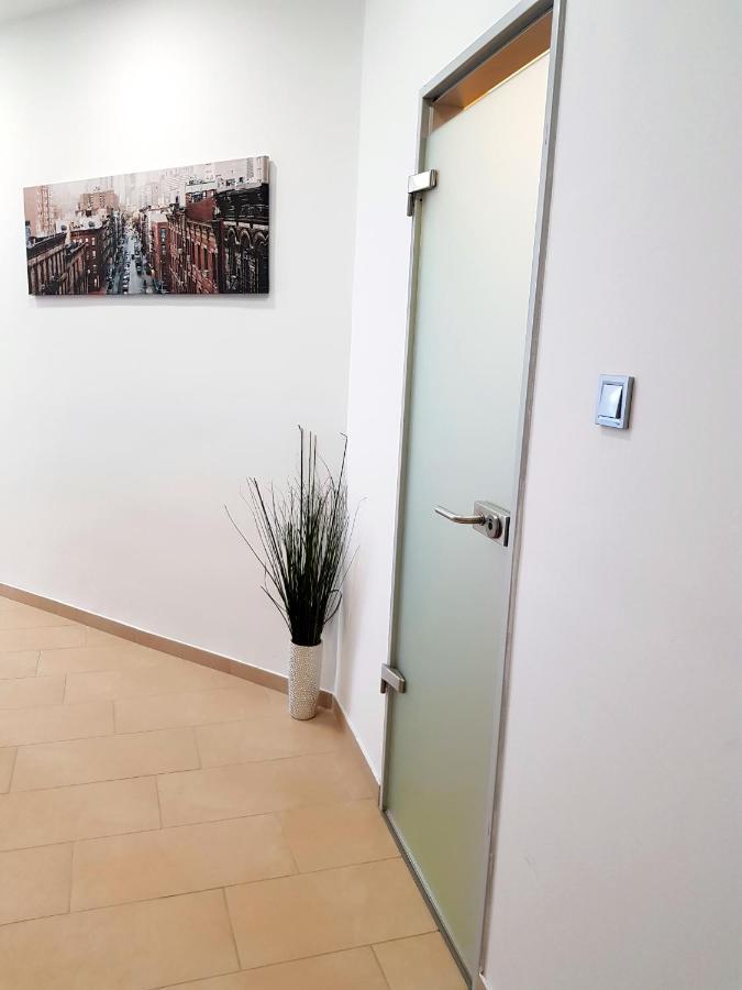 Luxurious Apartment With Balconies In Downtown Bp Будапеща Екстериор снимка